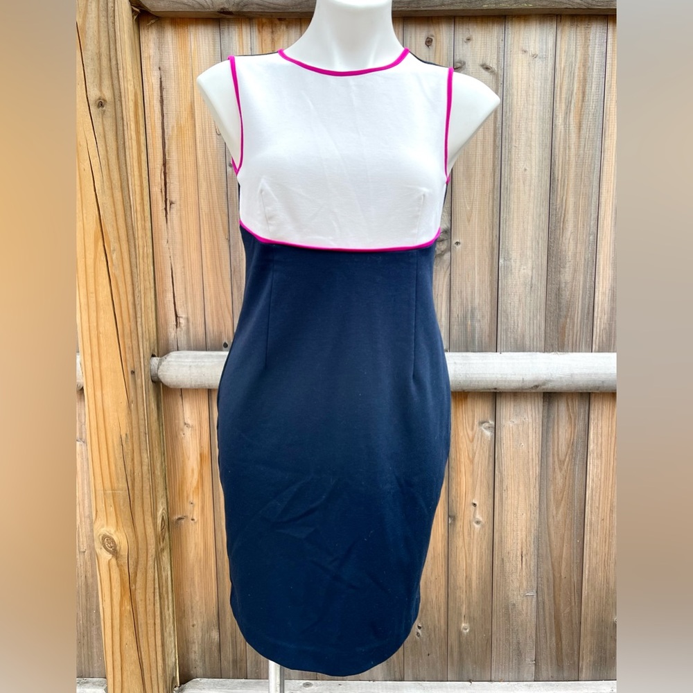 FINAL PRICE: Ann Taylor White and Navy Knee Length Dress with Fuchsia Trim